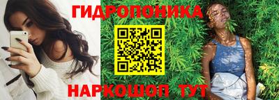 мяу мяу мука Нальчик